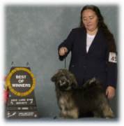 imported exceptional pups directly from Cuba, where the breed originates