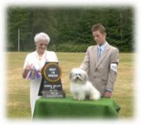 Emily recently competed in the Junior Handling