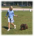 Emily recently competed in the Junior Handling