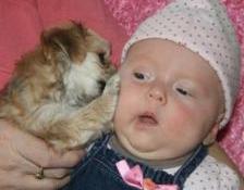 Charlotte - puppy kiss
