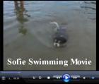 Sofie Swimming movie