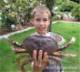 Kayden holding a Dungeness crab - Courtesy of MistyTrails Havanese / Mastiff (our other interests)